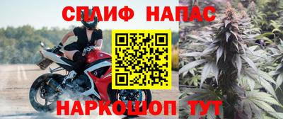 МДПВ Дубна