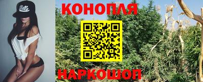 МДПВ Дубна