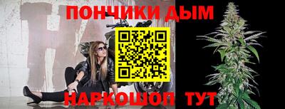 МДПВ Дубна