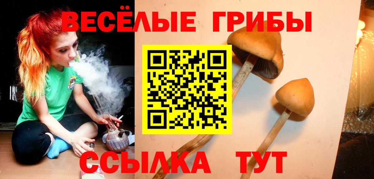 Псилоцибиновые грибы Cubensis  Вход с VPN  Медногорск  Псилоцибиновые грибы Psilocybe 