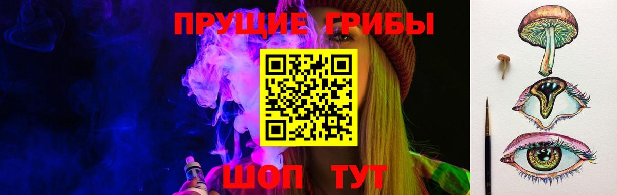 Псилоцибиновые грибы GOLDEN TEACHER Медногорск